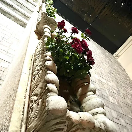 Casa Aylin ゲストハウス